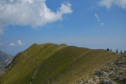 Clicca qui per vedere l'immagine in dettaglio